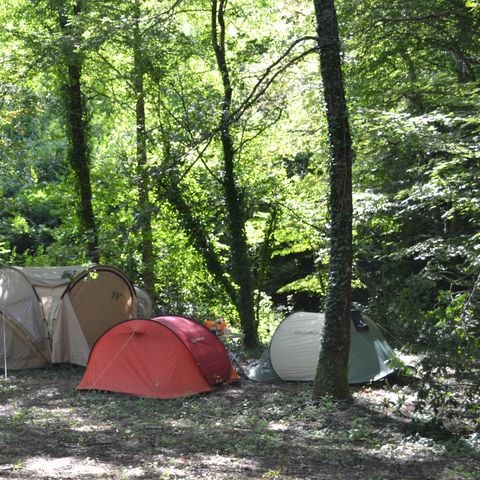 EMPLACEMENT - Emplacement  clairière , dans une zone plus isolée en contrebas du camping