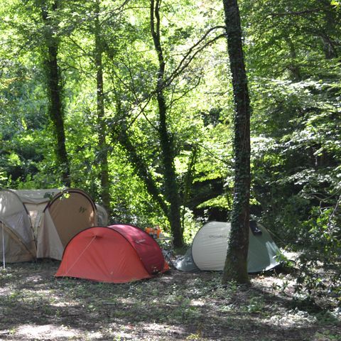 Kampeerplaats - Staanplaats Glade, in een meer afgelegen gebied onder de camping