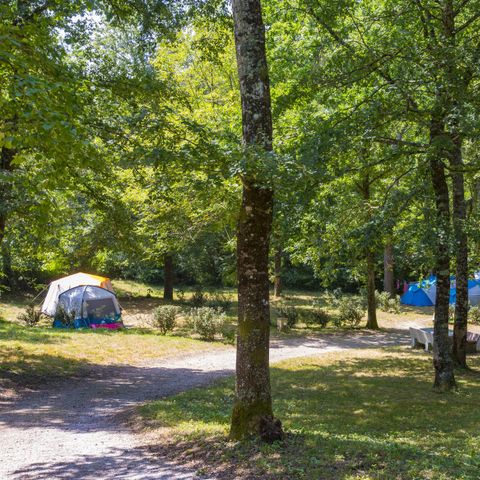 Kampeerplaats - Staanplaats Glade, in een meer afgelegen gebied onder de camping