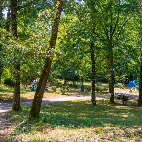 Kampeerplaats - Staanplaats Glade, in een meer afgelegen gebied onder de camping