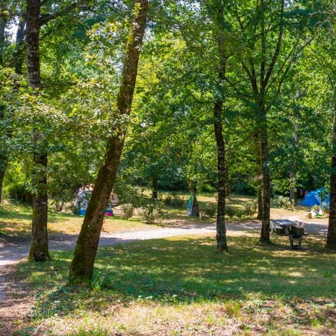 PARCELA - Parcela Glade, en una zona más apartada debajo del camping