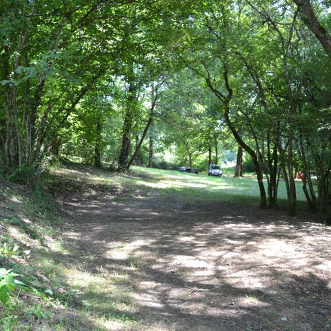 STAANPLAATS - Staanplaats Glade, in een meer afgelegen gebied onder de camping