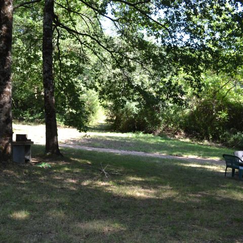 Kampeerplaats - Staanplaats Glade, in een meer afgelegen gebied onder de camping