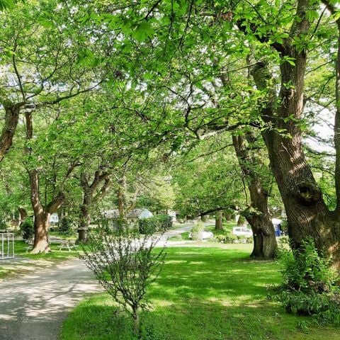 Camping Le Rural - Camping Hautes-Pyrénées - Image N°5