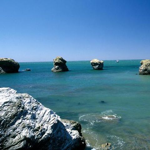 Camping La Yole Camping La Yole - Camping Vendée - Image N°29