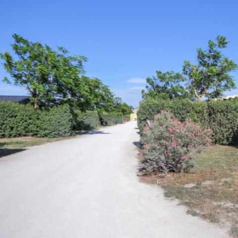 Camping Les Sources Camping Les Sources - Camping Vaucluse - Image N°18