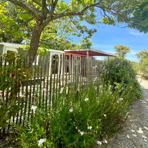 Mobile home 6 persons - Premium Cottage – 3 bedrooms – 2 bathrooms – Bed linen, towels, griddle and cleaning service included