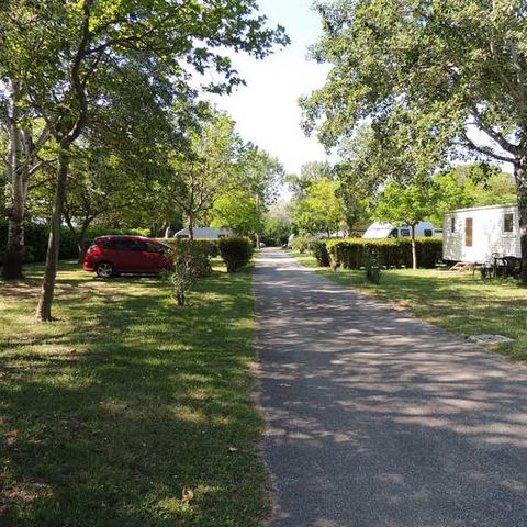 BUNGALOW 4 personas - Super Mercure- 2 habitaciones