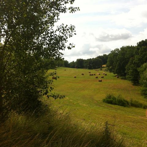 Chalet 5 personen - HOUTEN PMR