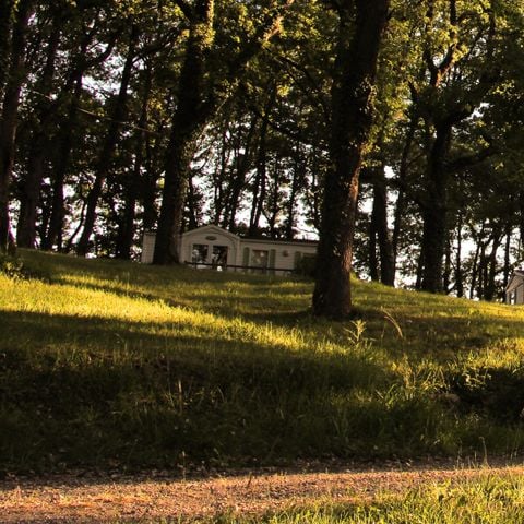 Mobile home 4 persons - Nature 3 Rooms
