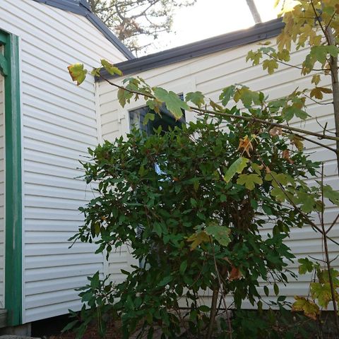 Chalet 7 persons - 2-BEDROOM OCEAN CHALET + 1 BEDROOM ANNEX