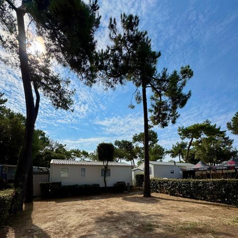 Kampeerplaats - Standplaats 85 m² - 100 m²