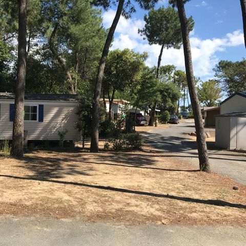 Kampeerplaats - Standplaats 85 m² - 100 m²