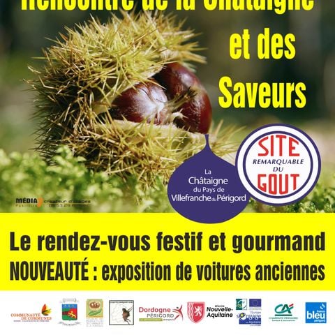 BUNGALOW 4 personnes - Offre spéciale : séjour avec activités saisonnières