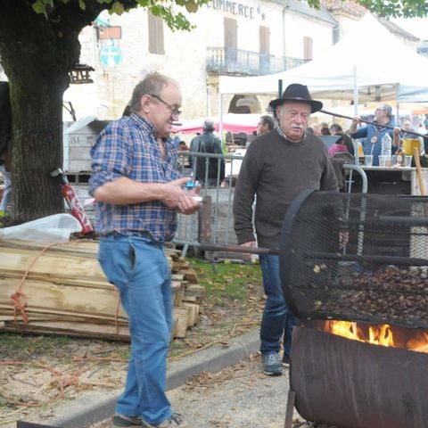 BUNGALOW 4 personnes - Offre spéciale : séjour avec activités saisonnières