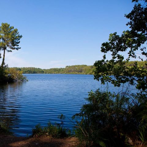 Camping Les Vignes Camping Les Vignes - Camping Landes - Image N°29