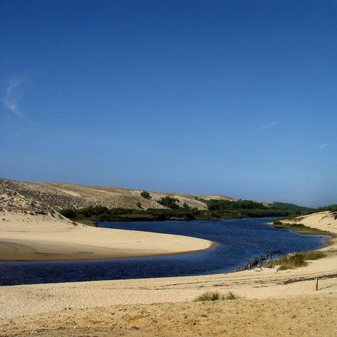 Camping Les Vignes Camping Les Vignes - Camping Landes - Image N°28