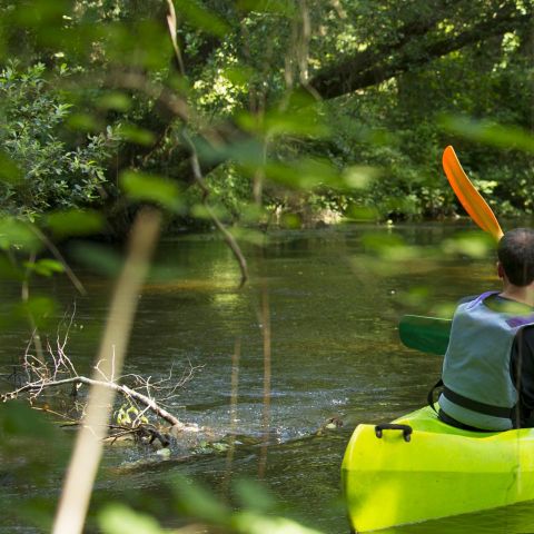 Camping Les Vignes Camping Les Vignes - Camping Landes - Image N°33