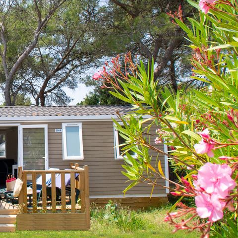 Bungalow 8 persons - LUXURY