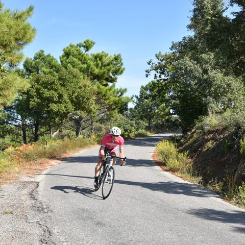 Camping Parc Saint James Gassin - Parc Montana Camping Parc Saint James Gassin - Parc Montana - Camping Var - Image N°16