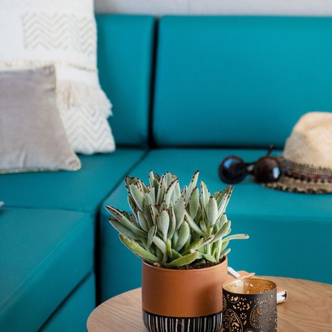 Stacaravan 5 personen - Premium cottage +