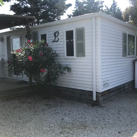 Mobile home 6 persons - PREMIUM D