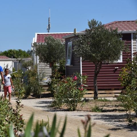 Mobile home 6 persons - CLASSIC 3 bedrooms - D - non air-conditioned