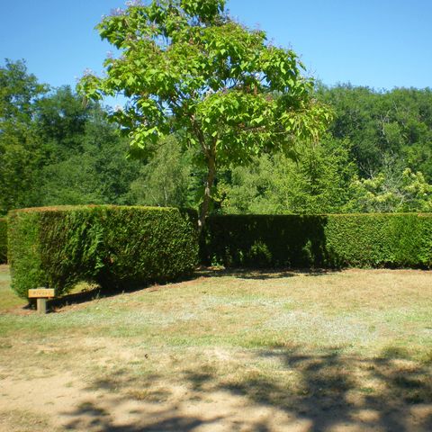 Pitch - Nature landscaped 2 pers - 1 vehicle (car, CC or motorbike) - electricity 10A