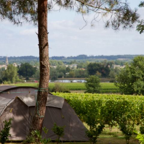 Stellplatz - Nackter Stellplatz