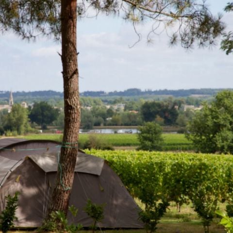 PARCELA - Sitio vacío