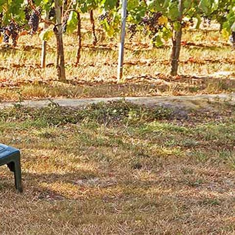 PARCELA - Sitio vacío