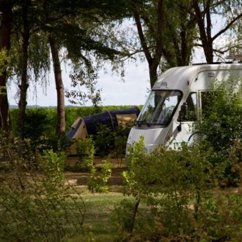 Kampeerplaats - Natuur arrangement (1 tent, caravan of camper / 1 auto)
