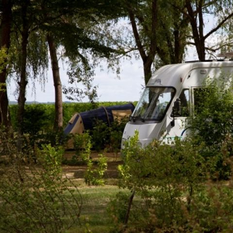 Kampeerplaats - Comfortpakket (1 tent, caravan of camper / 1 auto / 10A elektriciteit)