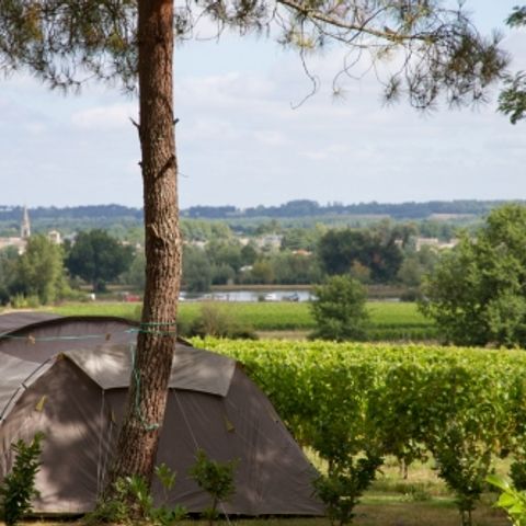 Kampeerplaats - Comfortpakket (1 tent, caravan of camper / 1 auto / 10A elektriciteit)
