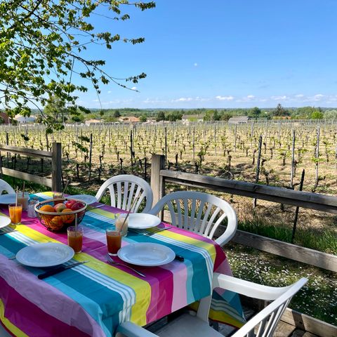 MOBILE HOME 8 people - Comfort - 3 bedrooms (32m²) + Air conditioning + Vineyard view