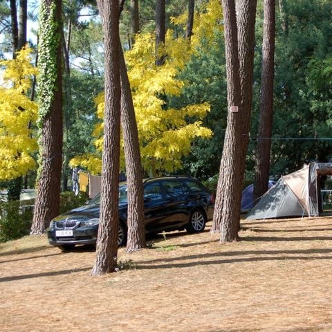 EMPLACEMENT - Forfait Confort avec électricité 10A 2 pers.