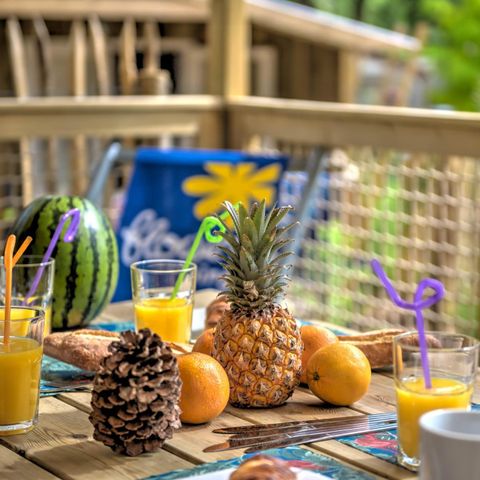 Lodge 5 personen - Cosyflower 2bed -TV-wasserij-overdekt terras-28m² | COMFORT