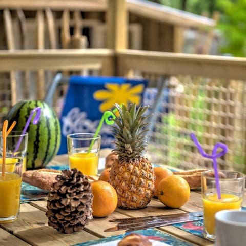 Lodge 5 personnes - Cosyflower - 2 chambres - -TV-plancha-terrasse couverte-28m² - CONFORT
