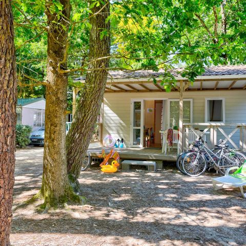 Chalet 4 persons - 2bed - Without - TV - Covered terrace-24m² - STANDARD