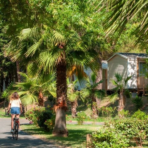 Camping Les 7 Fonts - Camping Hérault - Image N°3