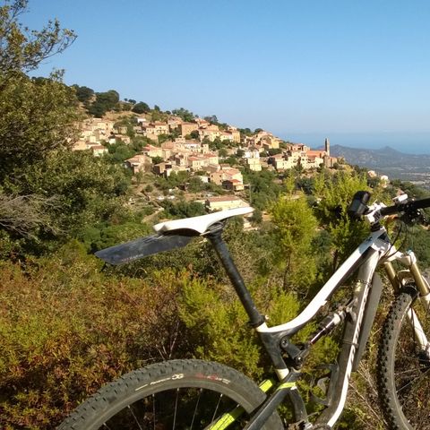 Camping Domaine d'Anghione Camping Domaine d'Anghione - Camping Corse du nord - Image N°37
