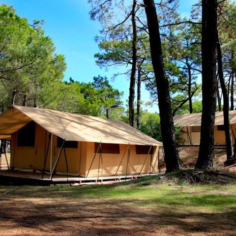 TENTE TOILE ET BOIS 4 personnes - Tente Toile & Bois, sans sanitaires