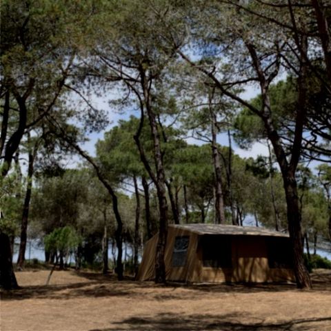 Tenda 4 persone - Da evasione - Senza servizi igienici
