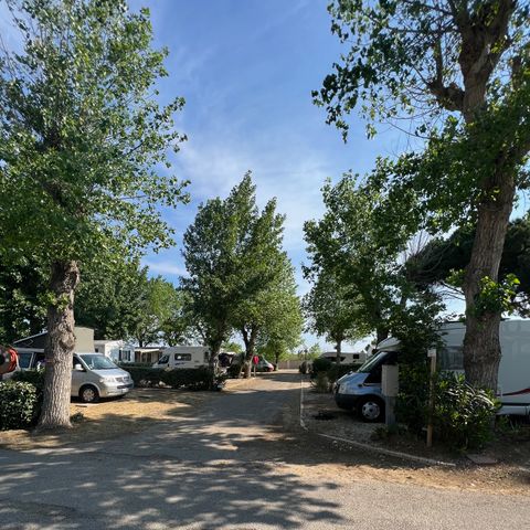 STAANPLAATS - Comfort standplaats pakket (tent, caravan of camper /1auto / 16A elektriciteit) Water en afvoer