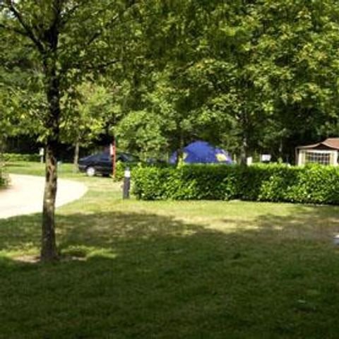 Pitch - Comfort package (1 tent, caravan or motor home / 1 car / 16 A electricity)