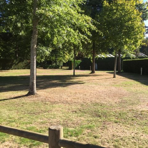 Stellplatz - Forfait Confort (1 Zelt, Wohnwagen oder Wohnmobil / 1 Auto / Strom 16 A)