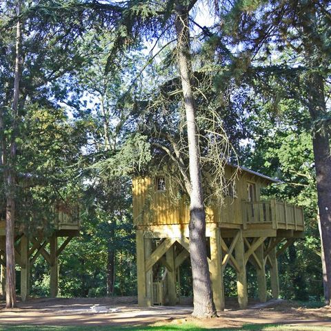 Camping Albirondack Park Lodge And Spa Camping Albirondack Park Lodge And Spa - Camping Tarn - Image N°14