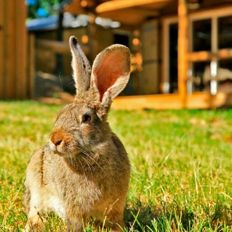 CHALET 4 people - Chalet VALLEY