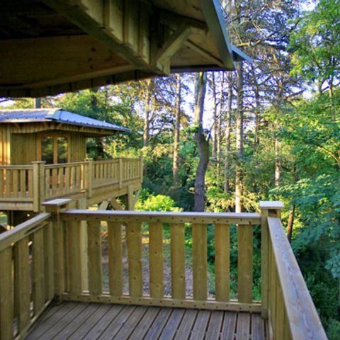 Accommodatie 4 personen - Boomhut