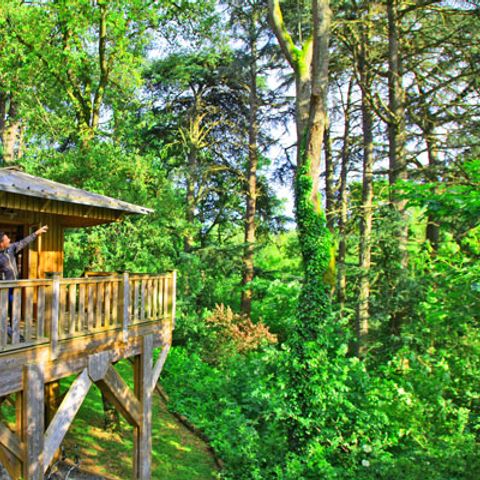 UNIEKE ACCOMMODATIE 4 personen - Boomhut